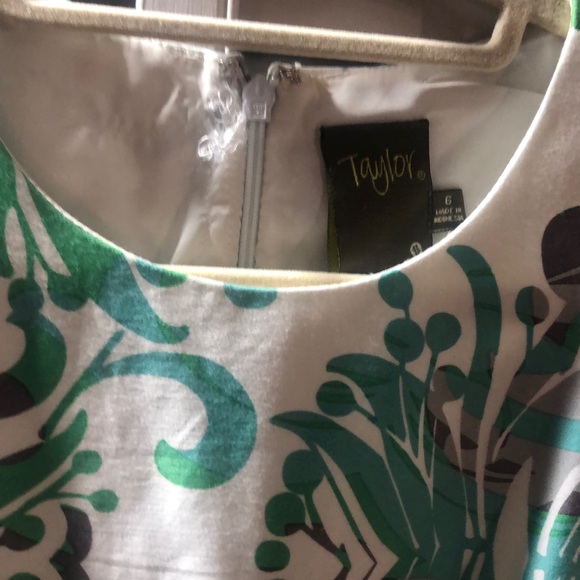 Taylor Swift dress - Picture 3 of 3